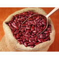 Chinese light Speckled Kidney Beans scientific name of the bean